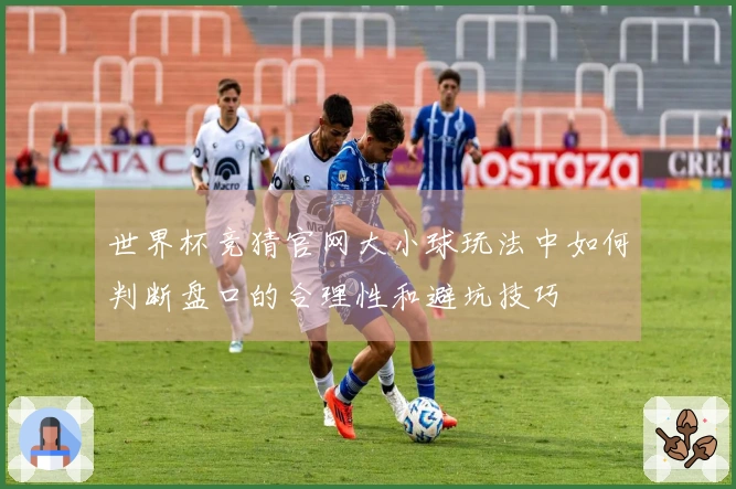 世界杯竞猜官网大小球玩法中如何判断盘口的合理性和避坑技巧