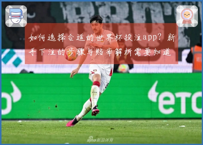 如何选择合适的世界杯投注app？新手下注的步骤与赔率解析需要知道哪些要点？