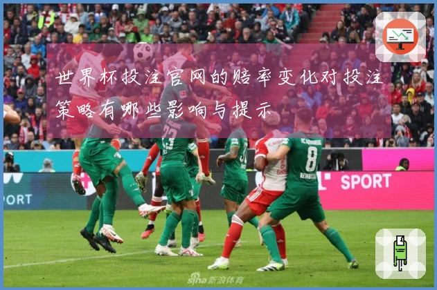 世界杯投注官网的赔率变化对投注策略有哪些影响与提示