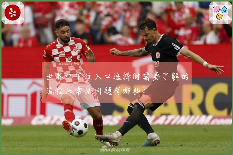 世界杯下注入口选择时需要了解的流程和常见问题有哪些？